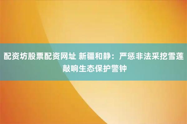 配资坊股票配资网址 新疆和静：严惩非法采挖雪莲 敲响生态保护警钟